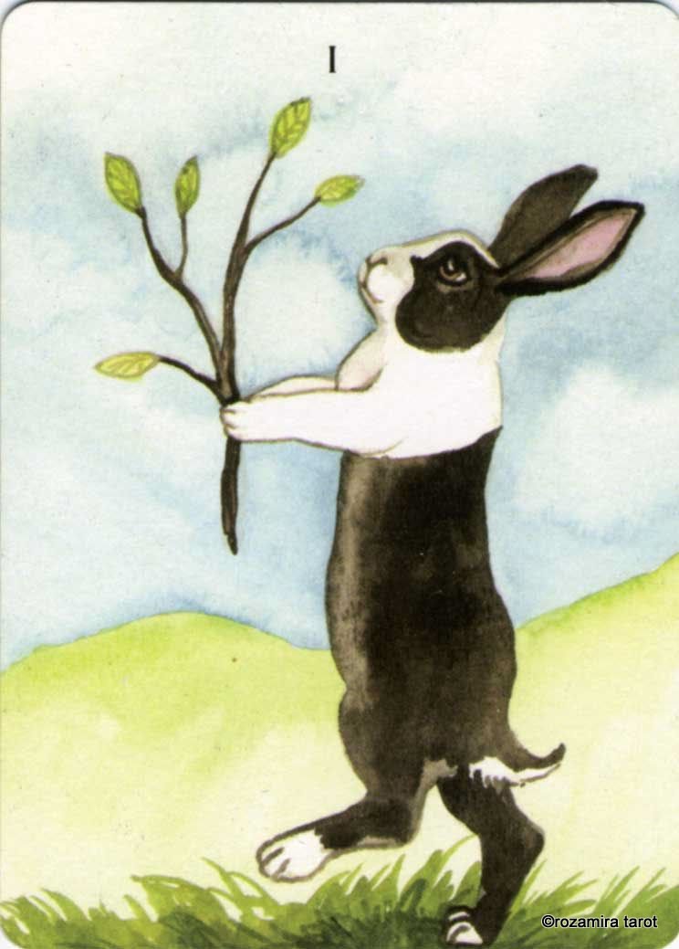 Rabbit Tarot